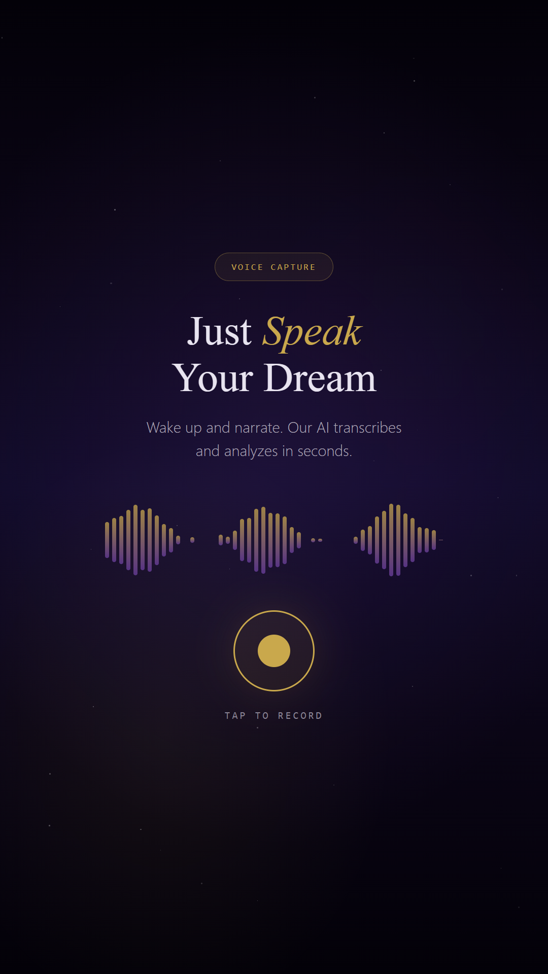 Voice Recording Interface